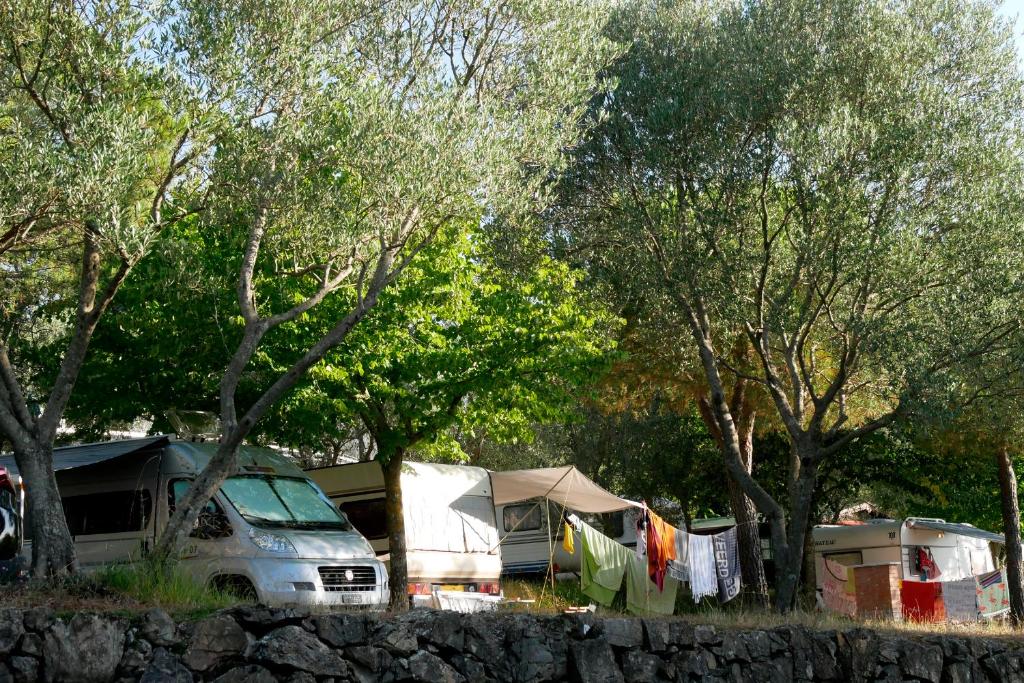 Camping Le Soline photo 3