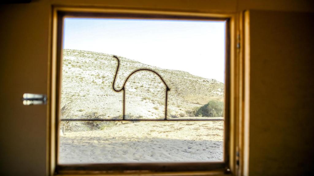 Negev Camel Ranch photo 2