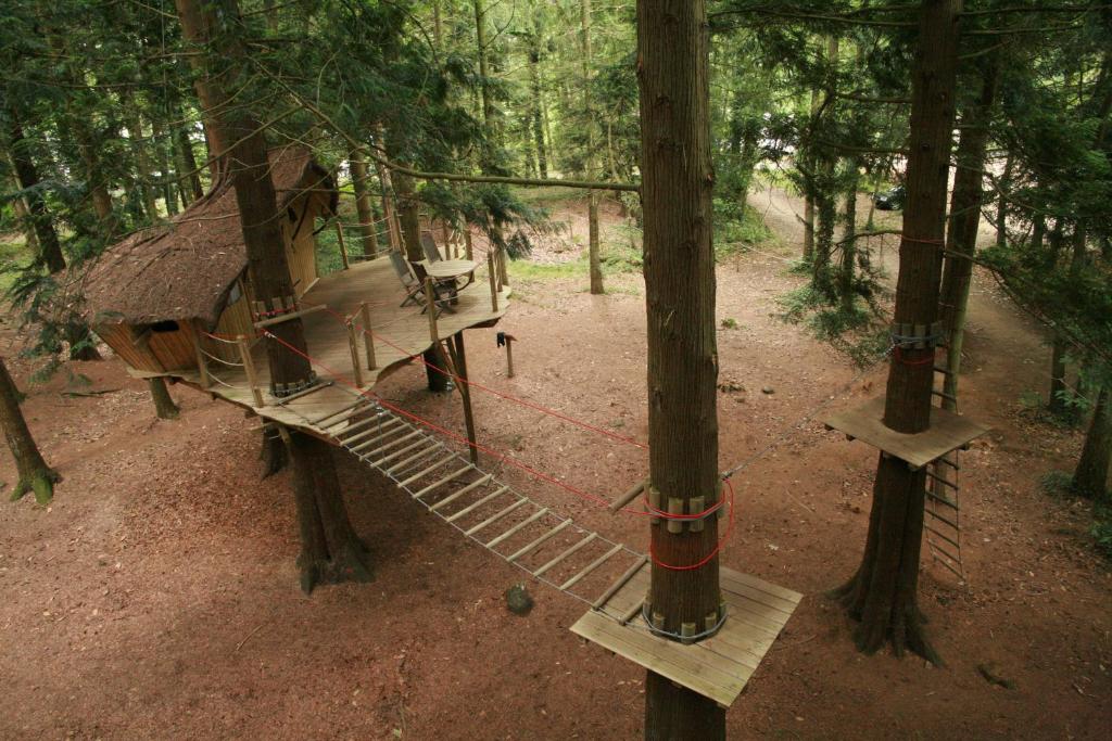 Insolite dans les arbres Les Ormes, Epiniac photo 3