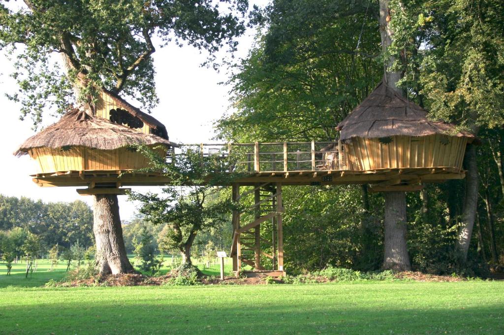 Insolite dans les arbres Les Ormes, Epiniac photo 4