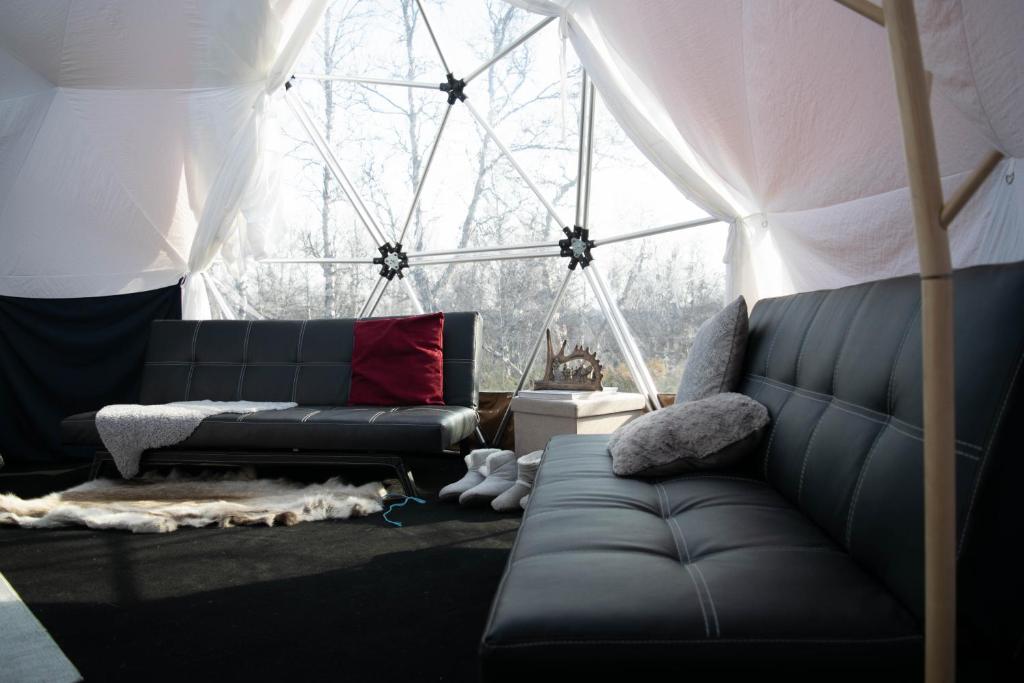 Aurora Dome photo 3