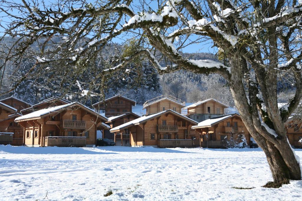 Résidence Néméa Les Chalets du Bois de Champelle photo 1