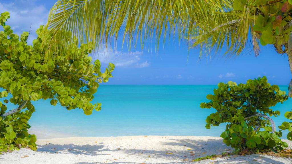 Cocobay Resort Antigua - All Inclusive - Adults Only photo 2