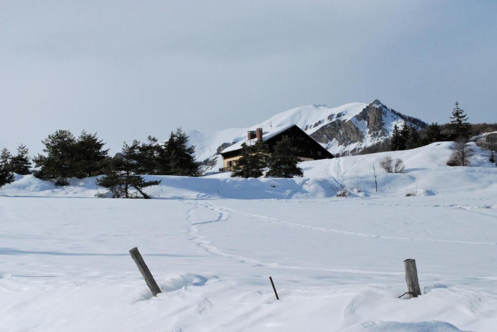 Joli Studio à la Montagne photo 1