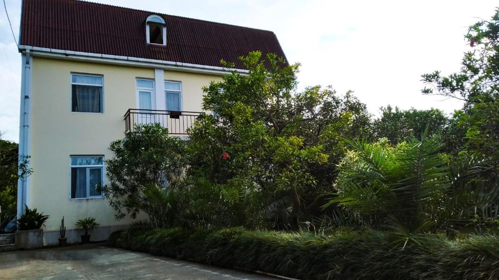 Guesthouse Green Oasis photo 1