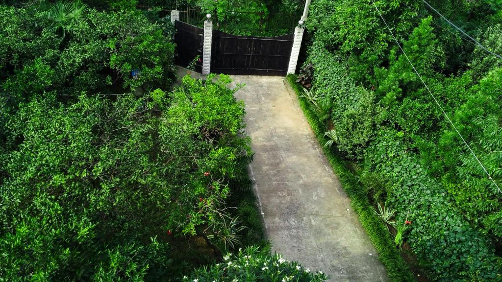 Guesthouse Green Oasis photo 2