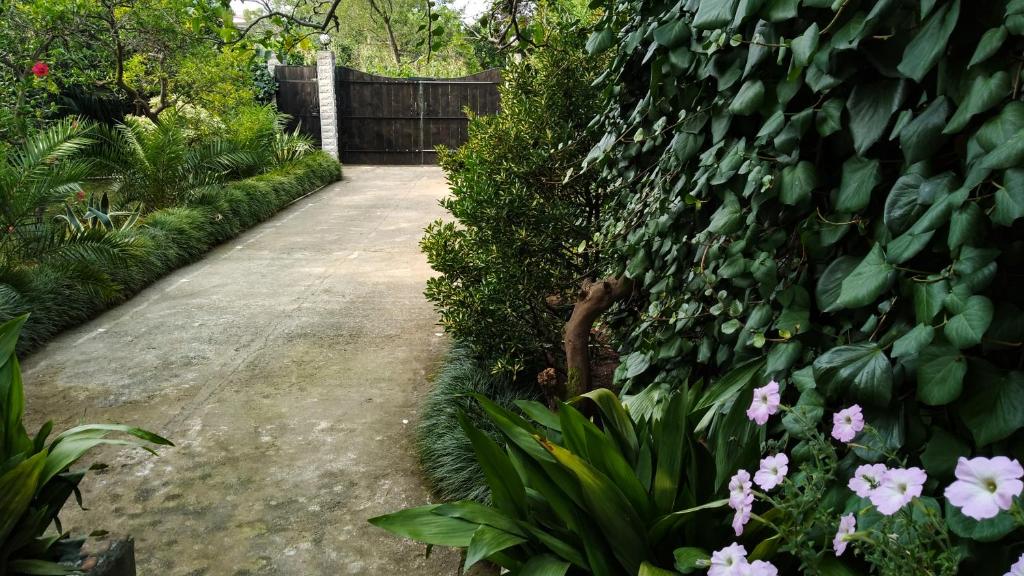 Guesthouse Green Oasis photo 3