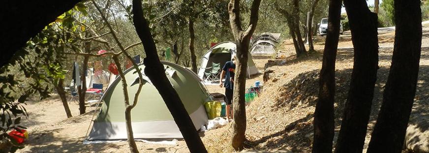 Camping Le Soline photo 4