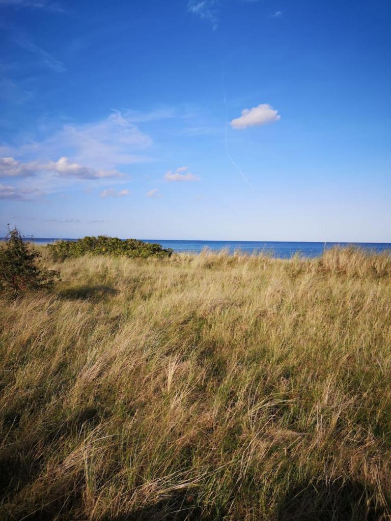 Wohlfühloase Villa Sunshine an weißem Sandstrand photo 2