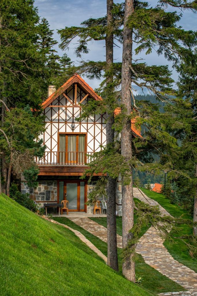 Foleya Mountain Resort - Tap to explore photos