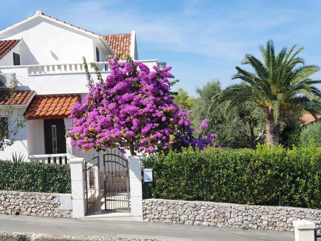 Holiday Home Brac photo 2