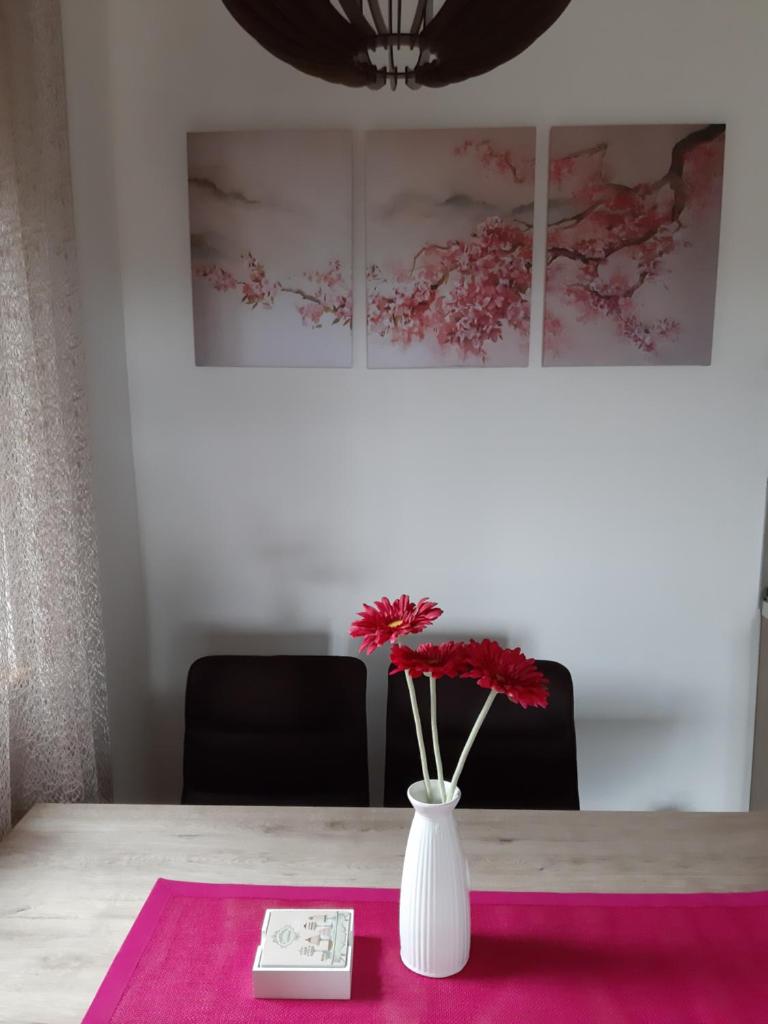 Apartman Nana photo 1