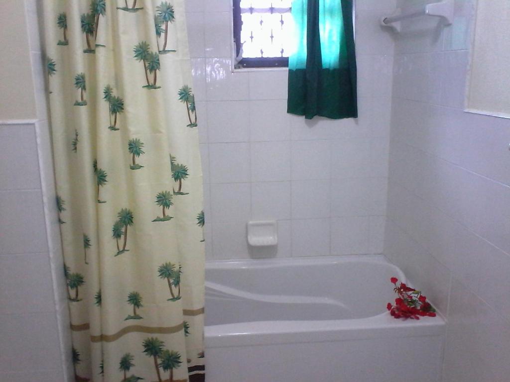 Gillys Dream photo 2