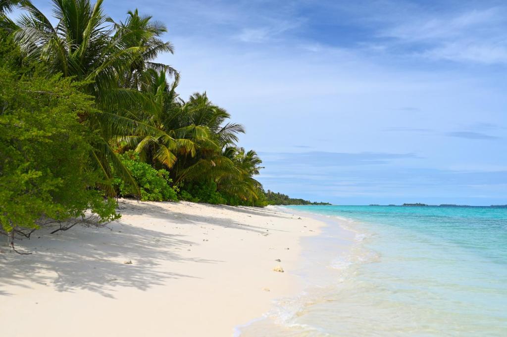 Boutique Beach All Inclusive Diving Hotel photo 1