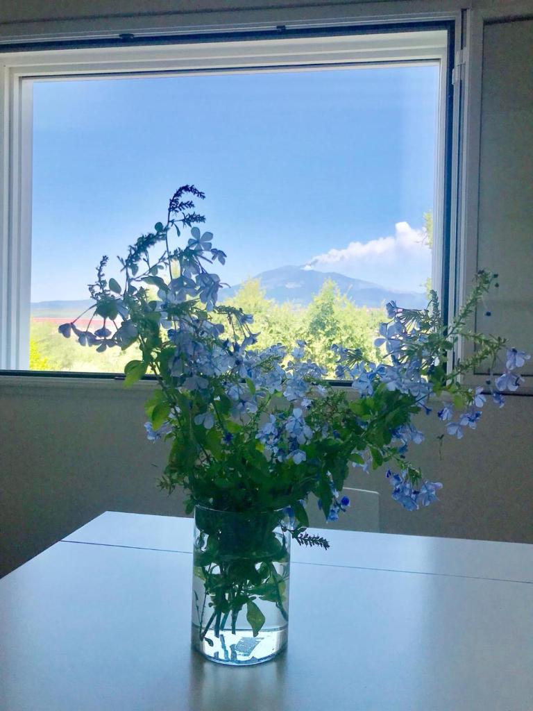 La Finestra Sull'Etna Room Type - Triple Room