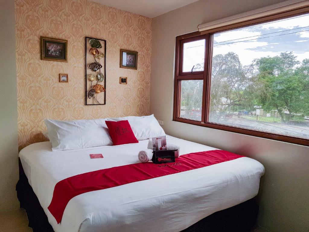 Сьюит (Люкс), RedDoorz Plus near Holy Name University Medical Center