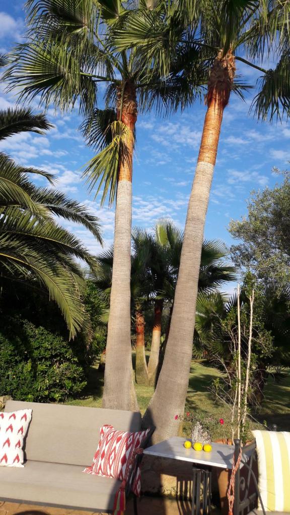 Ses Rotes Velles - Petit Hotel photo 4