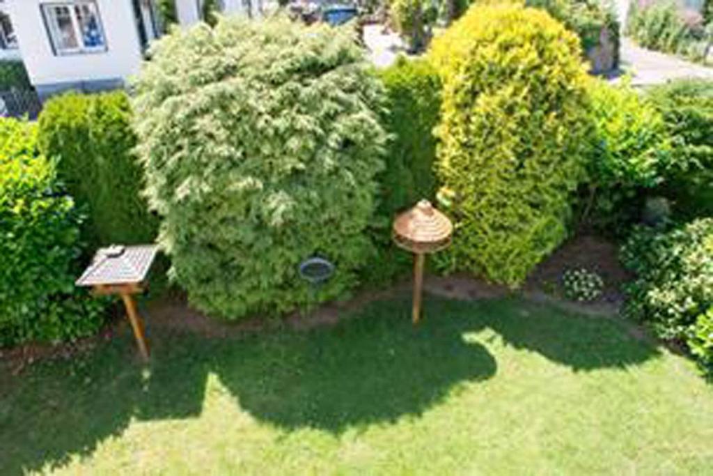 Ferienwohnung Abracadabra photo 3