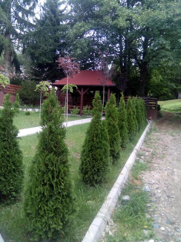 Apartmani Kršić photo 1