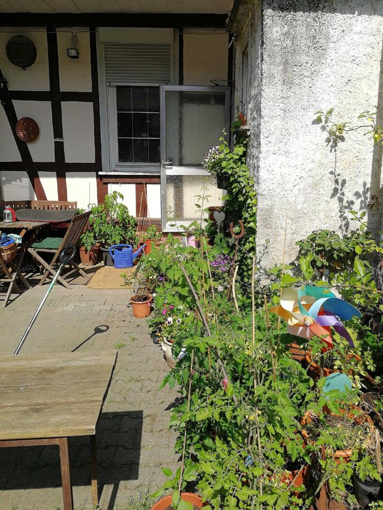 Ferienwohnung Burg Lindenfels photo 1