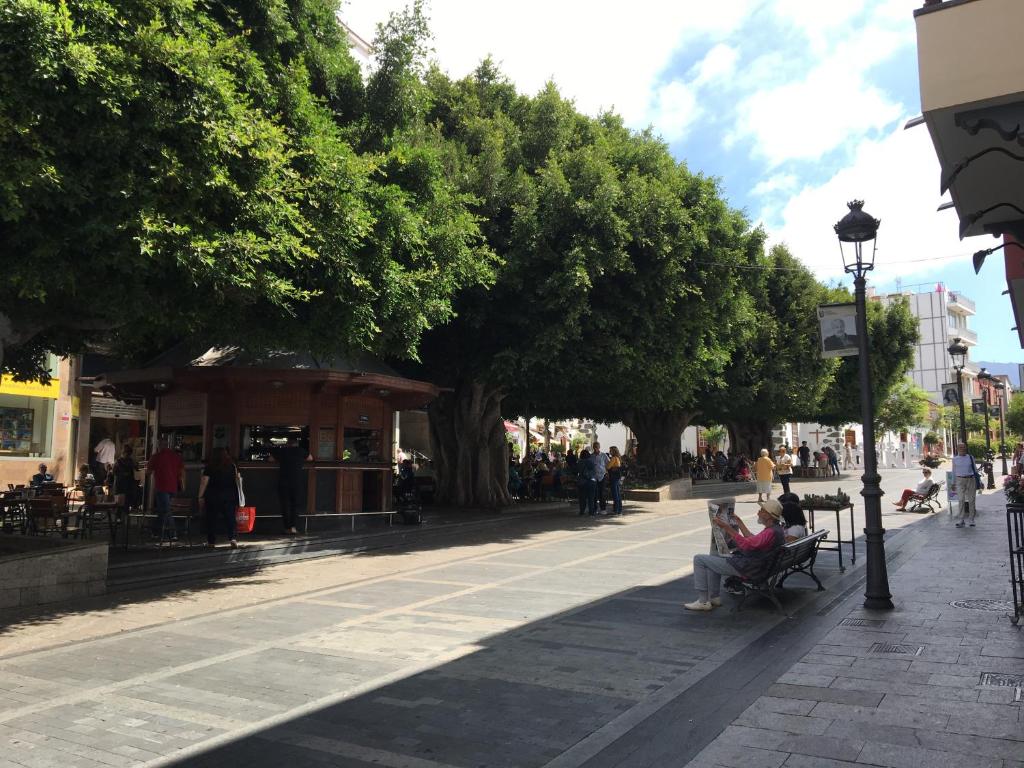 Apartamentos Los Laureles photo 4