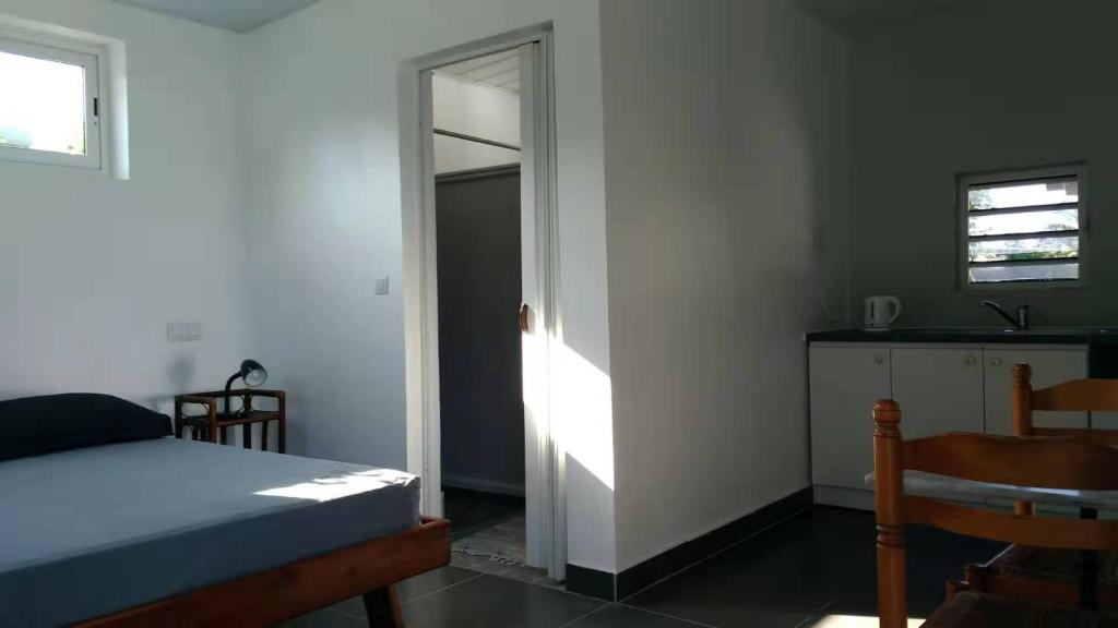 Jambolana Studio photo 2