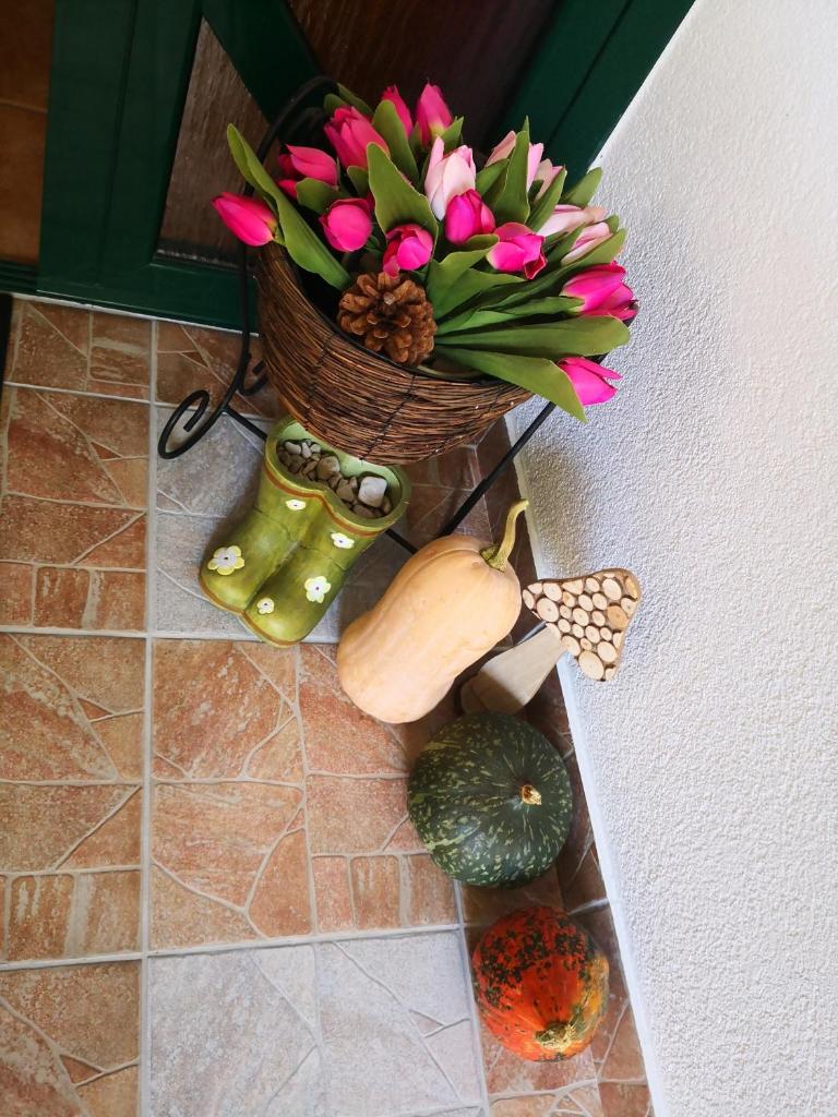 Apartments Zina photo 1