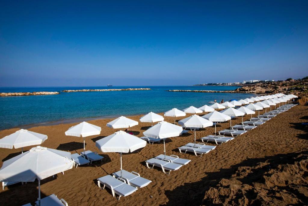 Venus Beach Hotel photo 4