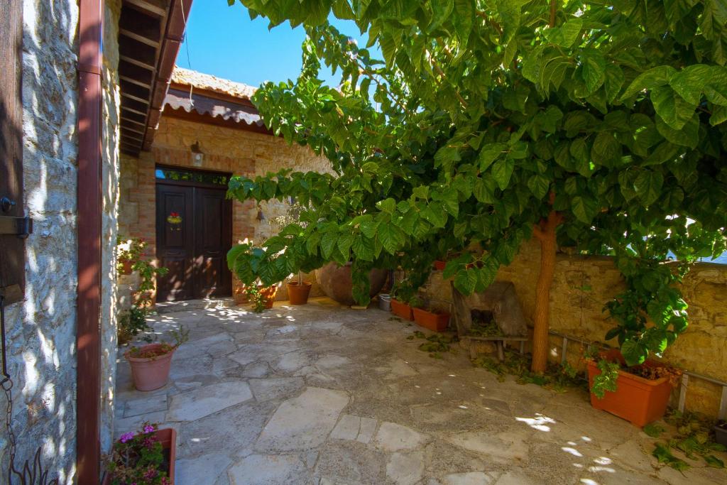 Dioni Palace by AgroHolidays photo 2