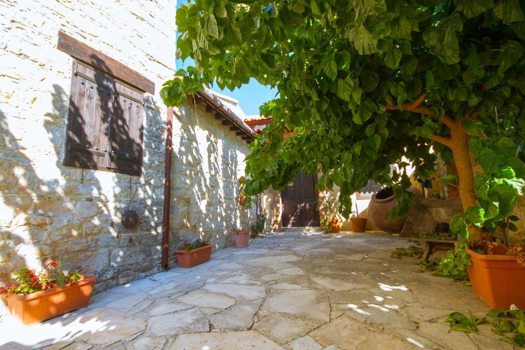 Dioni Palace by AgroHolidays photo 3