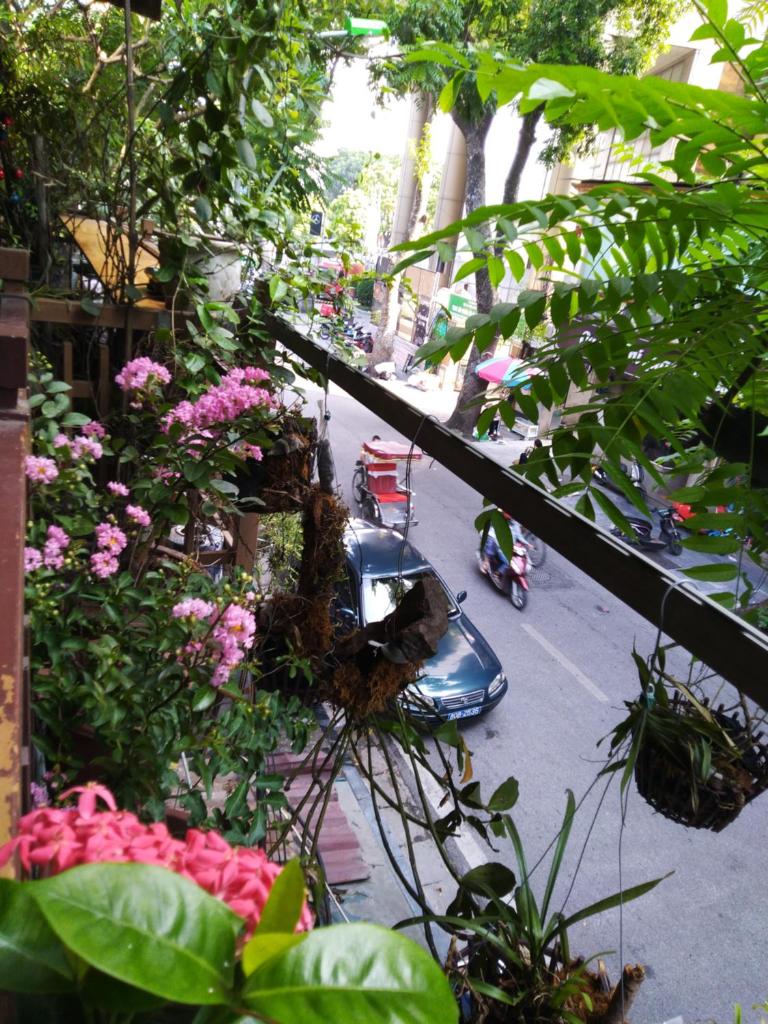 Hanoi Balcony Homestay