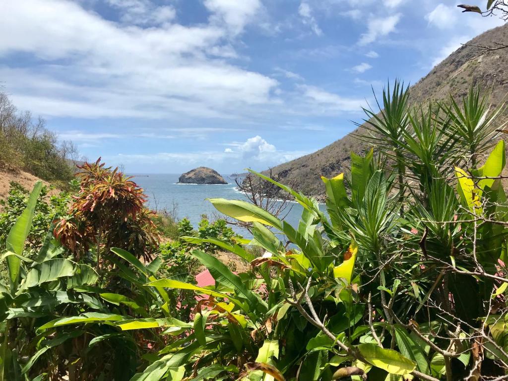 Villa Figues et Mangos photo 1