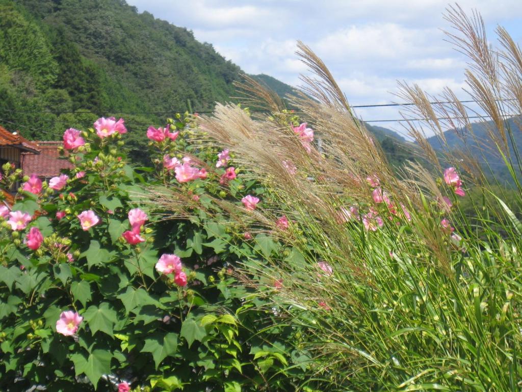 Japanese Style Inn Dohzen Miwa photo 2