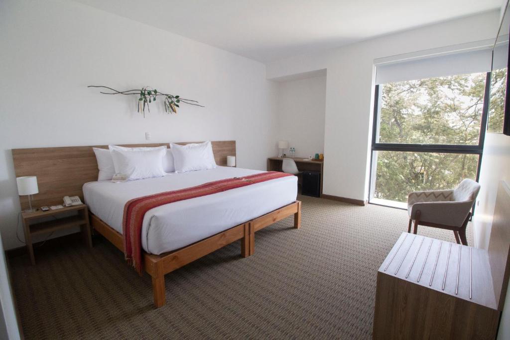 Tierra Viva Piura Hotel photo 4