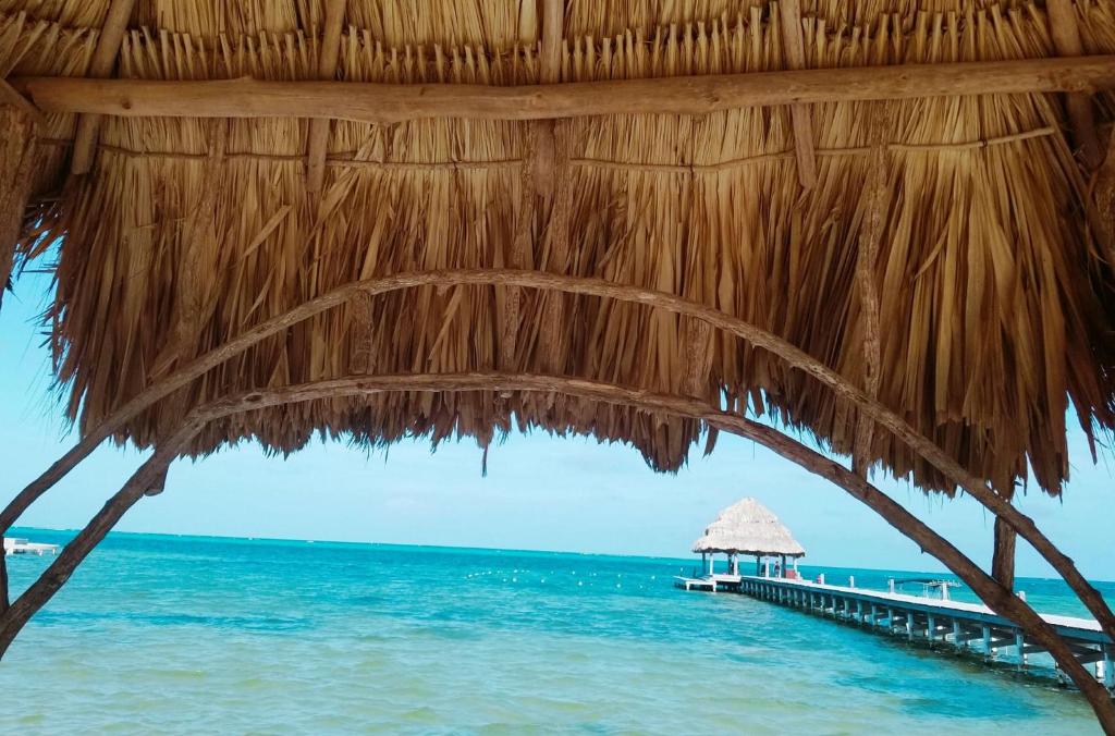 Xanadu Island Resort photo 4
