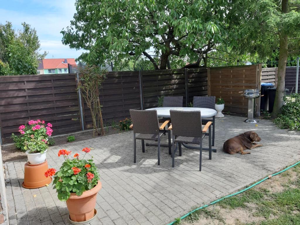 Zur alten Sommerküche photo 1