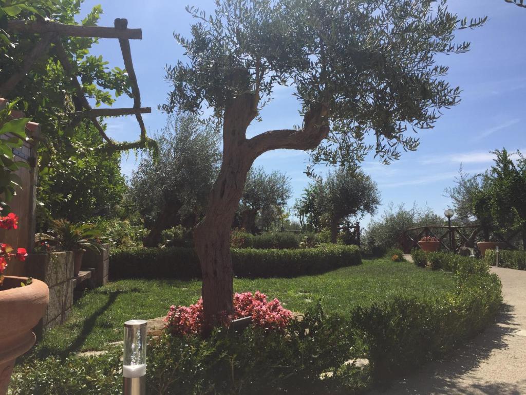 B&B Fior Tramonti photo 2