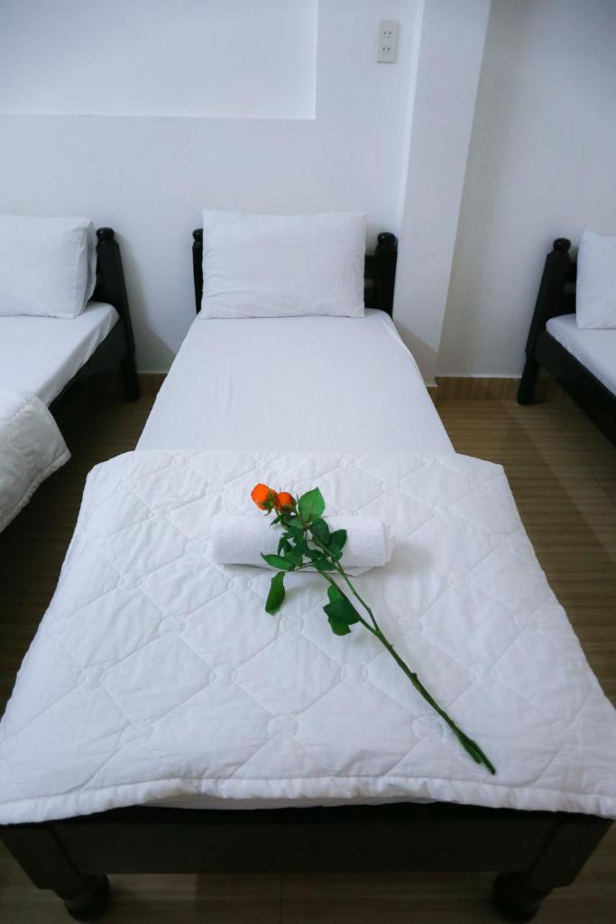 Одноместный (Одноместный номер), SEA HOMESTAY