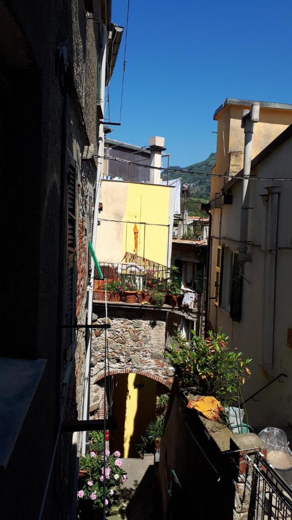 La Ginestra photo 4