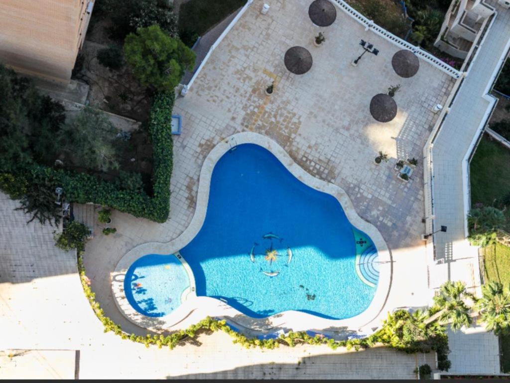 ATICO BENIDORM PLANTA 25 photo 4