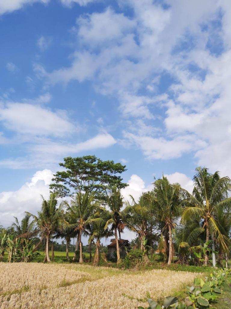 Двухместный (Улучшенный двухместный номер с 2 отдельными кроватями), Ayuna Family Ubud