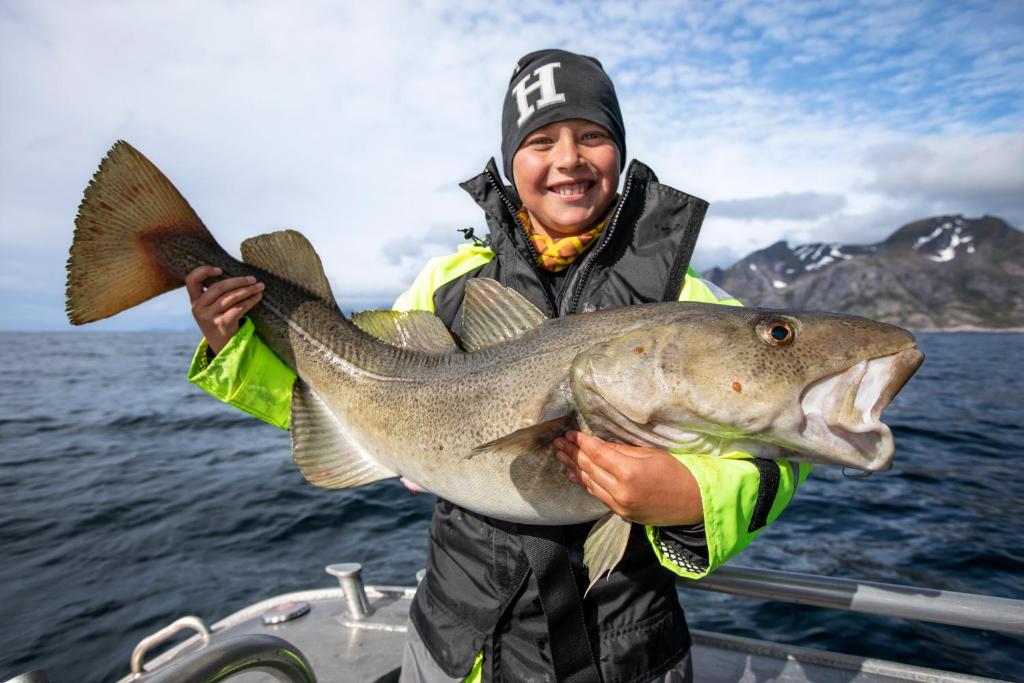 Lofoten Rorbu Lodge photo 4