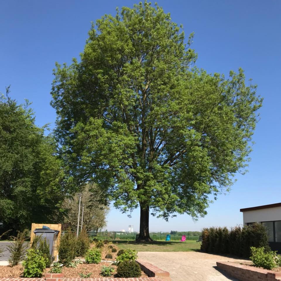 Gîtes du Frêne photo 2