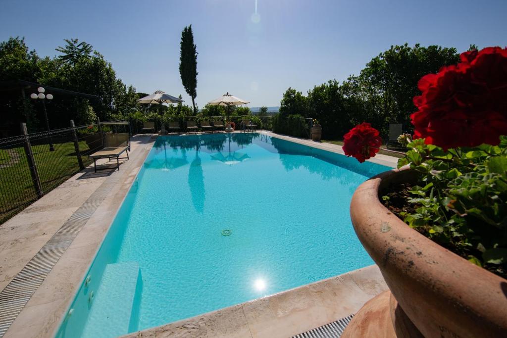 Villa Degli Olivi photo 4