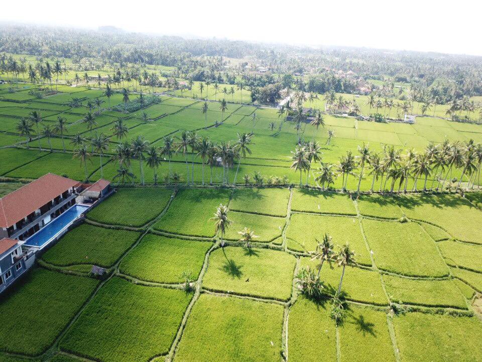 Двухместный (Двухместный номер с 1 кроватью), The Sawah Resort & Villa