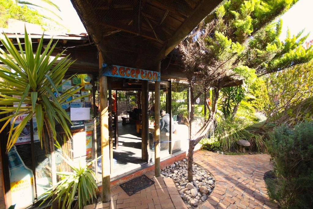 Saltycrax Backpackers and Surf Hostel by CURIOCITY photo 3