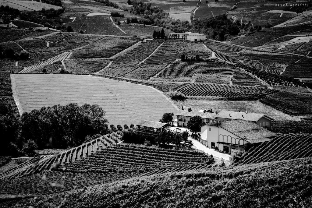 Agriturismo Cascina Sciulun photo 4