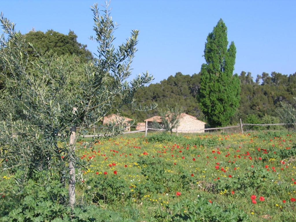 Gites de Fontroussière photo 2