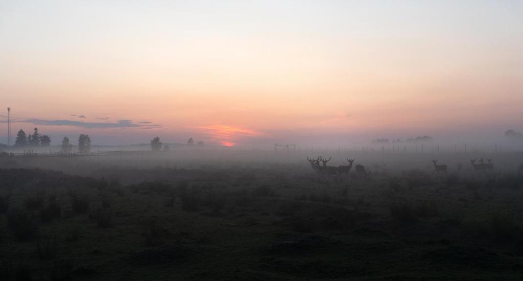 Dolina Dębów photo 4