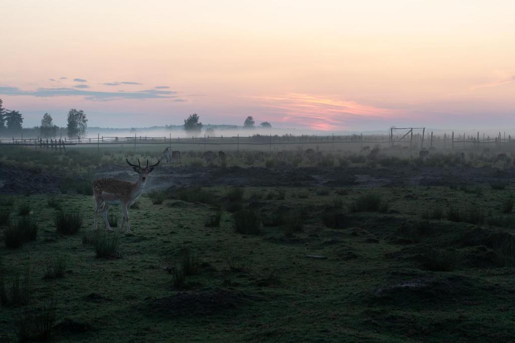 Dolina Dębów photo 1